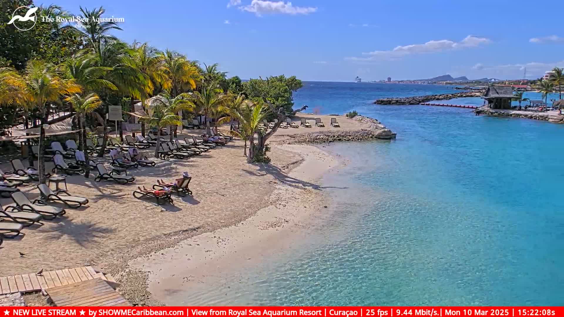 A sandy beach with lounge chairs and a few people relaxing, bordered by palm trees and clear turquoise water under a sunny sky.