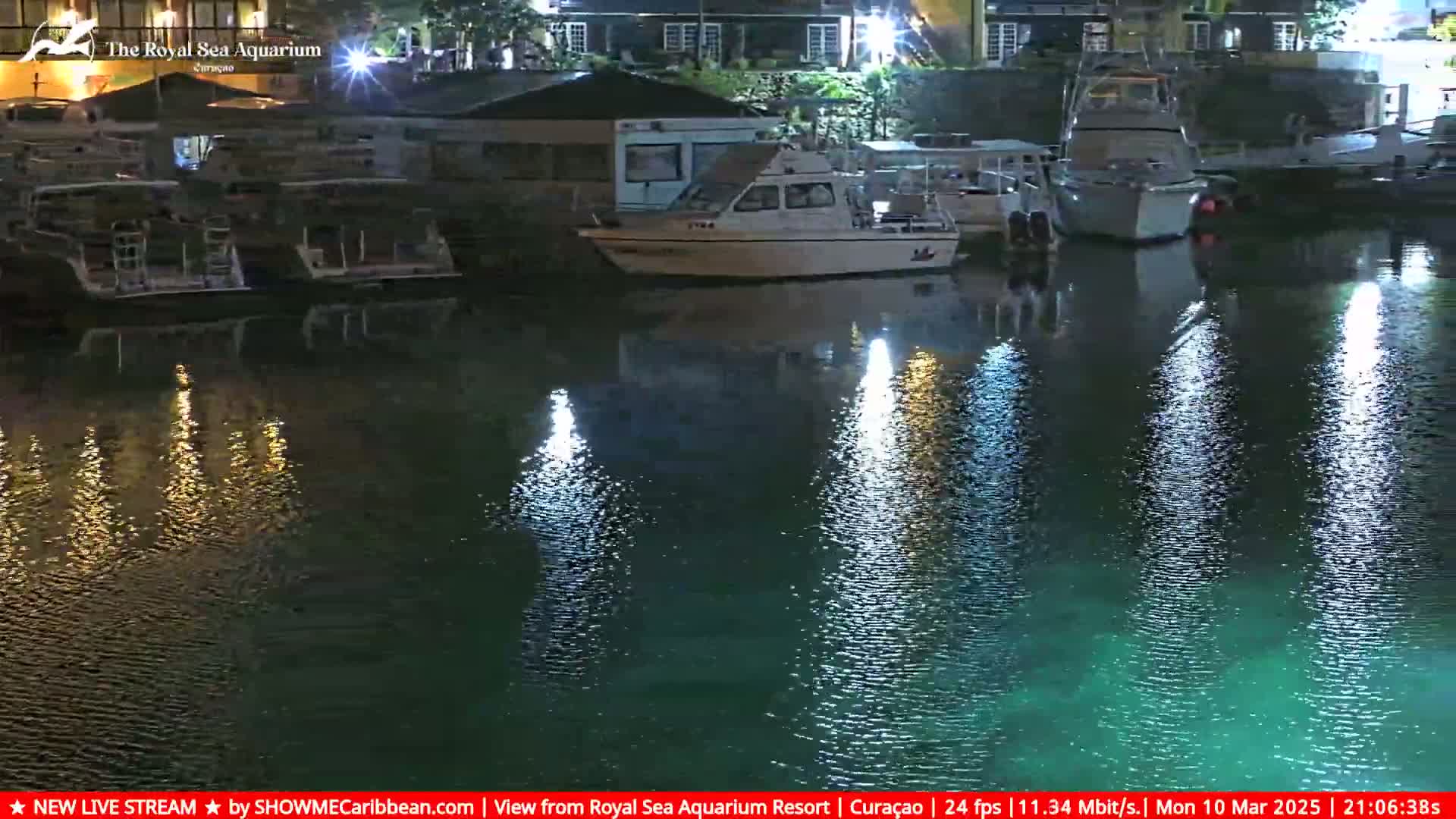 Several boats are moored at a dock at night, their reflections shimmering on the dark, calm water.