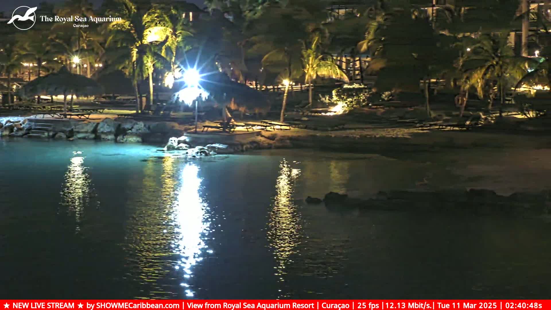 A nighttime view of a calm body of water reflecting lights from a tropical beach scene with palm trees and thatched-roof structures.