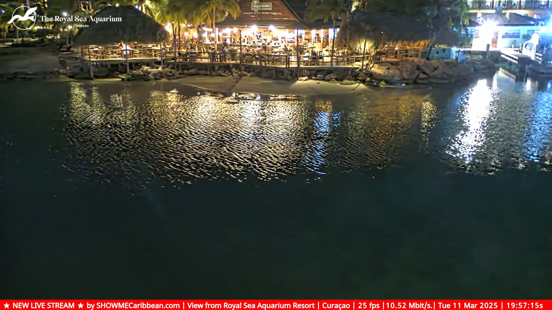 A brightly lit outdoor restaurant with a thatched roof sits on a calm, dark body of water at night.