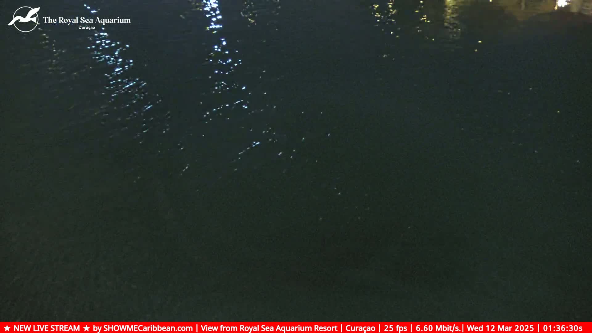 A dark body of water is visible at night, with small, glittering reflections on its surface.