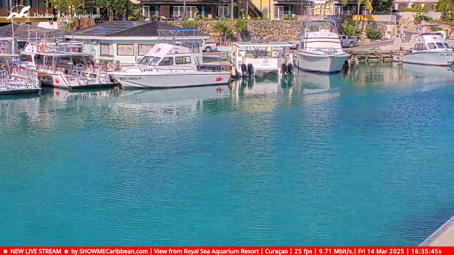Several boats are docked in a calm, teal-colored body of water next to a building.