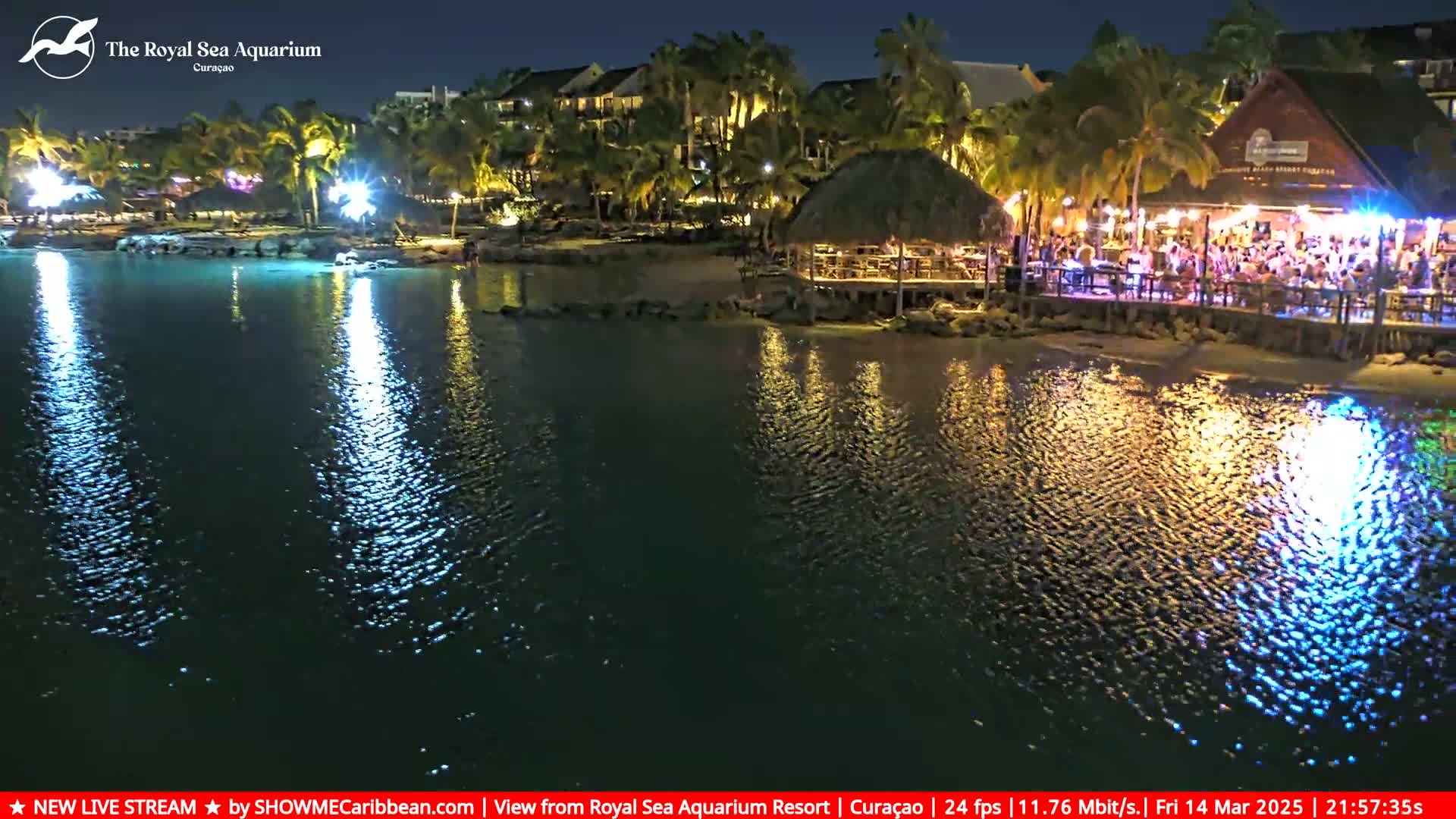 A nighttime scene shows a calm body of water reflecting lights from a beachside restaurant and resort buildings, with palm trees illuminated along the shoreline.
