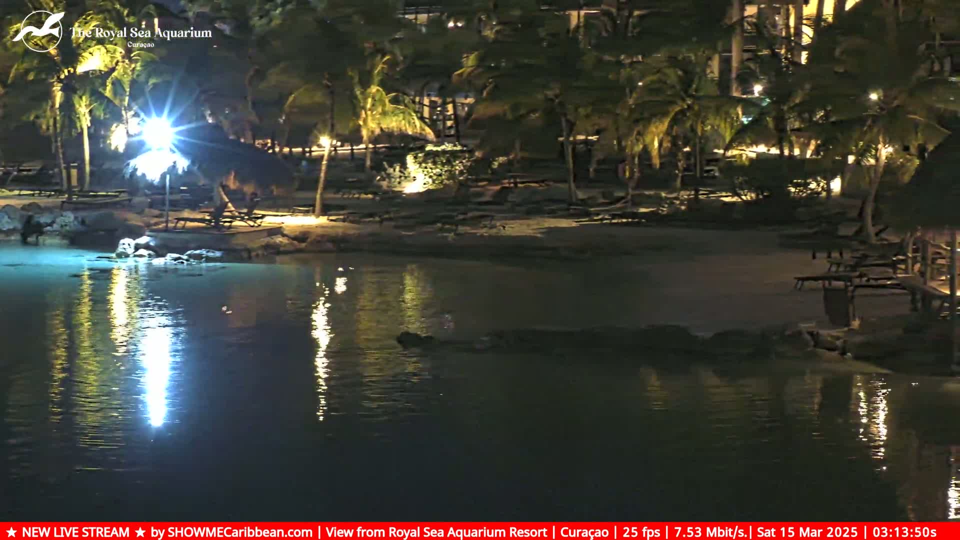 A nighttime view of a calm body of water reflecting lights from palm trees and beach furniture on a sandy shore.