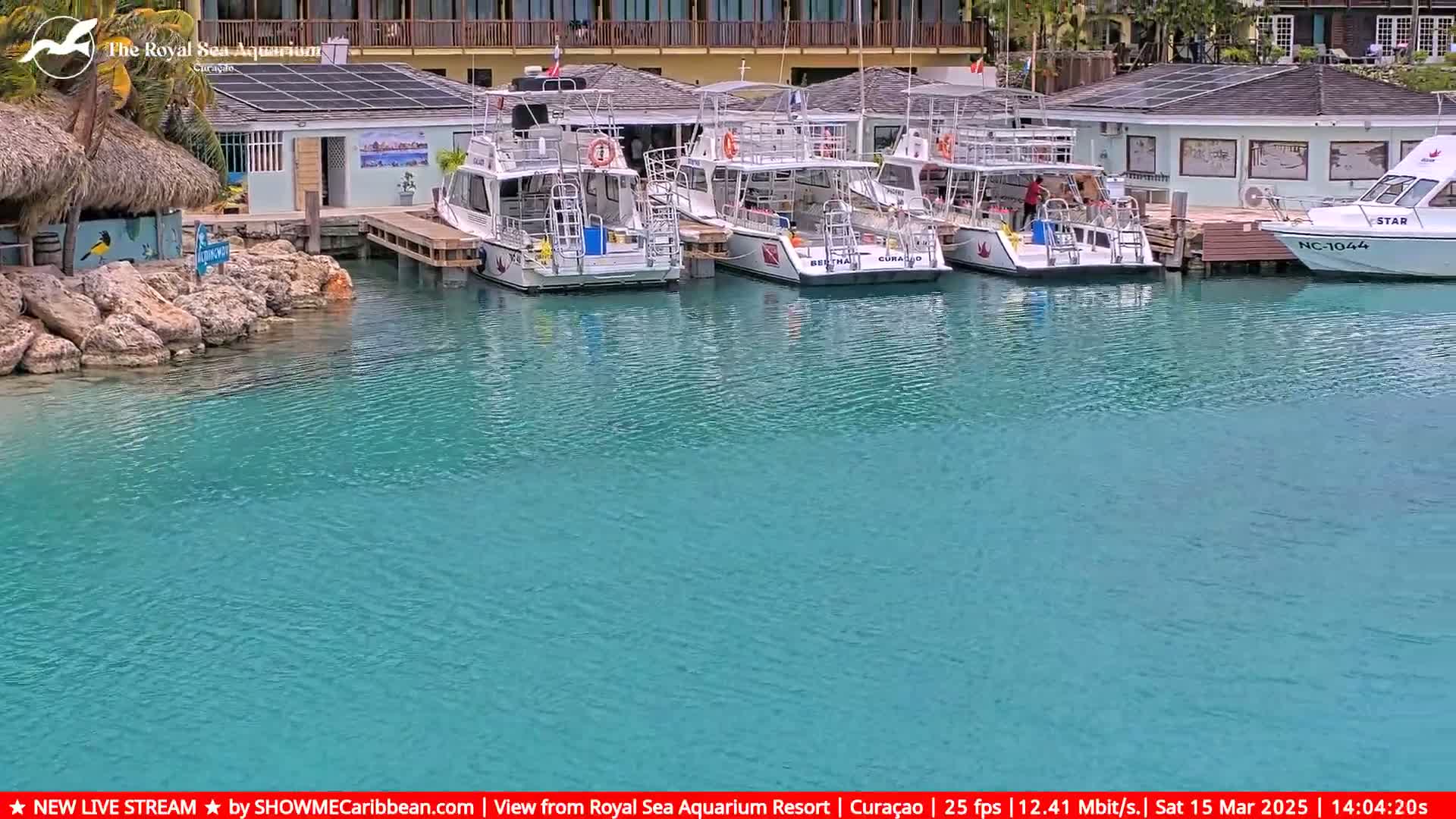 Several white passenger boats are docked at a marina with calm, teal water.