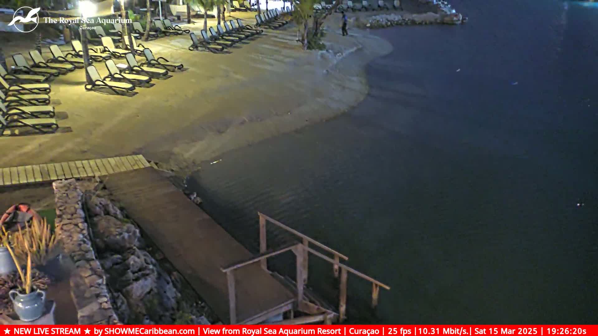 A sandy beach at night with lounge chairs, a wooden dock extending into dark water, and some landscaping.