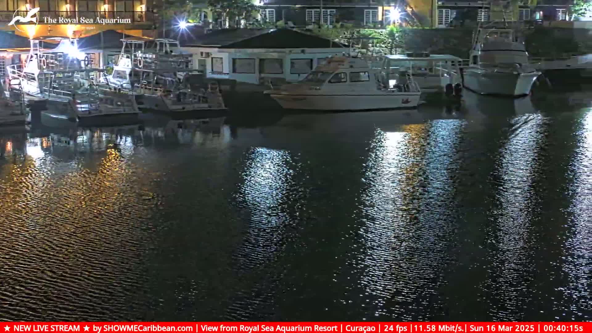 Several boats are moored at a dock at night, their reflections shimmering on the calm water.