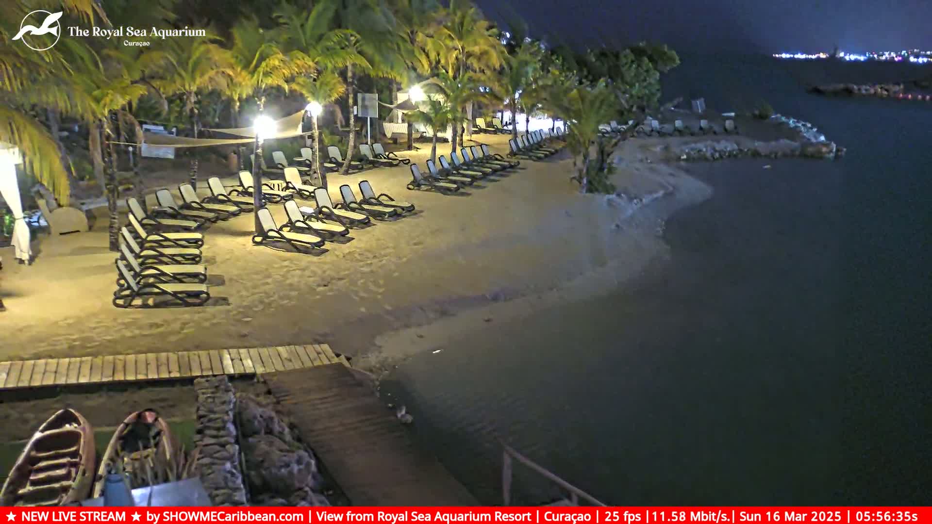 A sandy beach at night, lined with empty lounge chairs under palm trees, next to calm dark water.