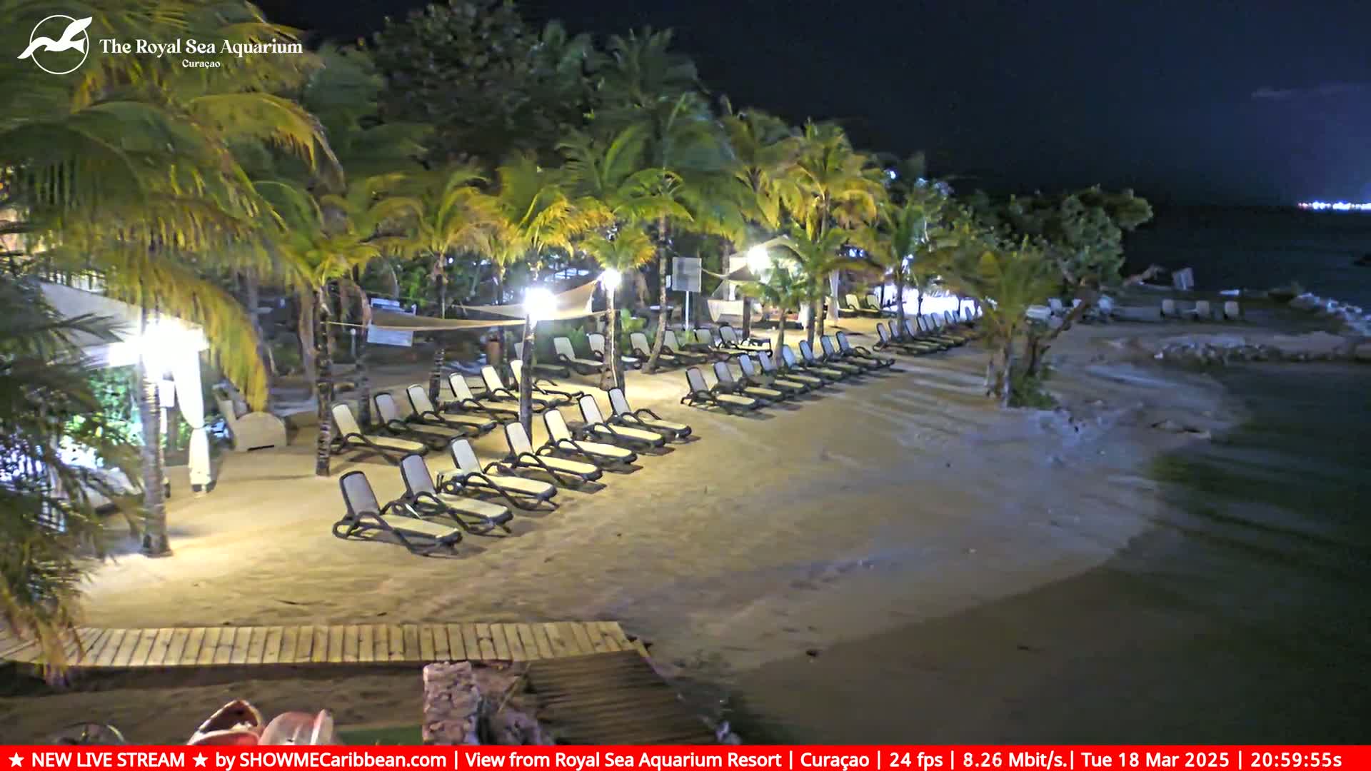 A sandy beach at night, lined with lounge chairs under palm trees, gently lapped by the ocean's edge.