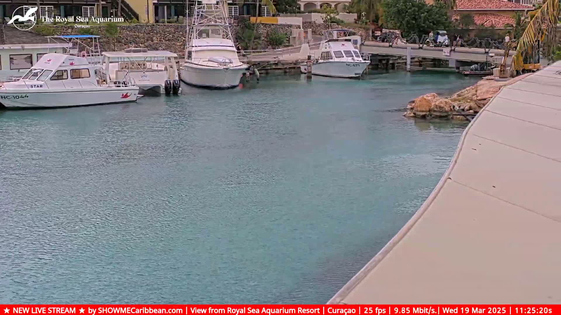 Several boats are docked in a calm, teal-colored marina next to a light-beige walkway.