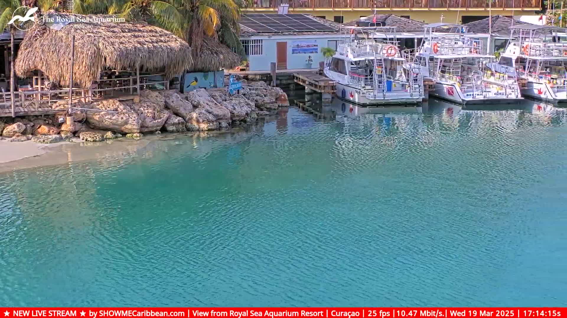 Several boats are docked at a waterfront location with a thatched-roof structure and calm, turquoise water.