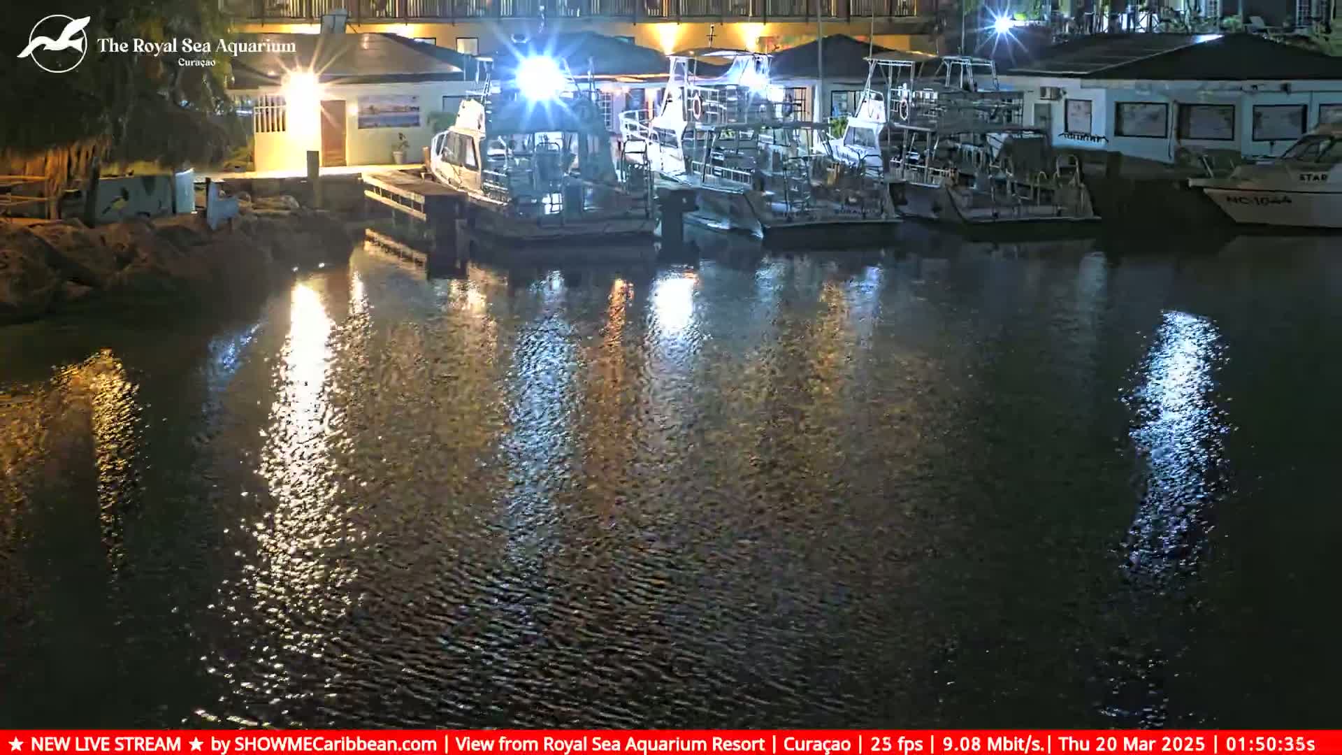 Several boats are moored at a dock at night, their reflections shimmering on the calm water.