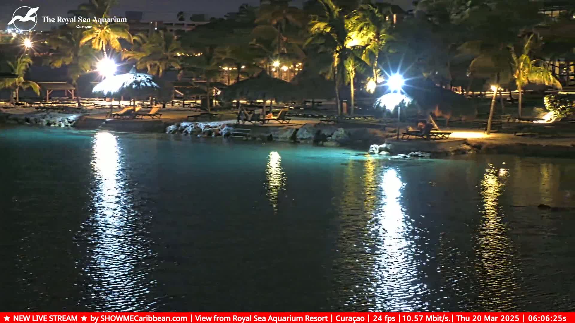 A nighttime view of a calm, illuminated body of water next to a beach with palm trees and thatched-roof structures.