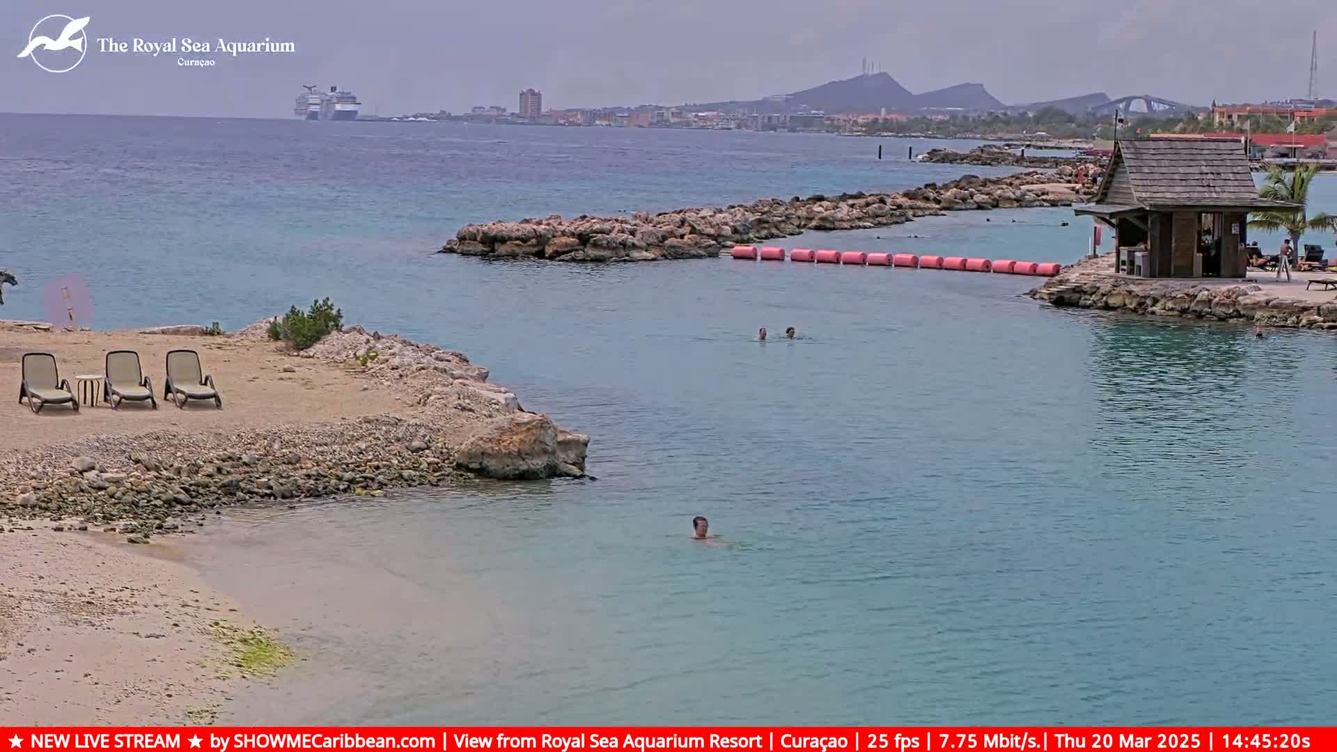 A calm, overcast day shows a tranquil beach scene with several people swimming in clear turquoise water near a small, wooden structure, with lounge chairs on the sandy shore and a distant cityscape and cruise ship visible.