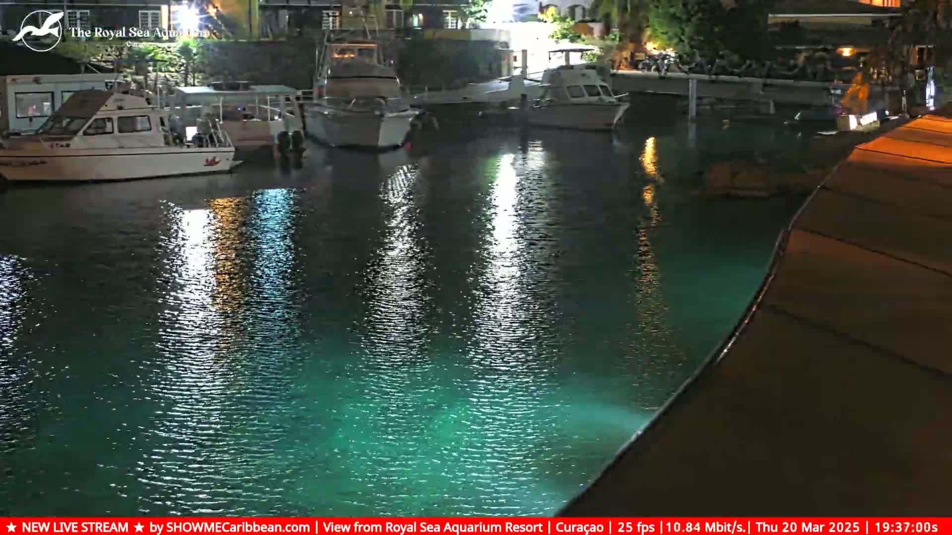 Several boats are moored in a calm, dark-green body of water at night, illuminated by lights reflecting on the water's surface.