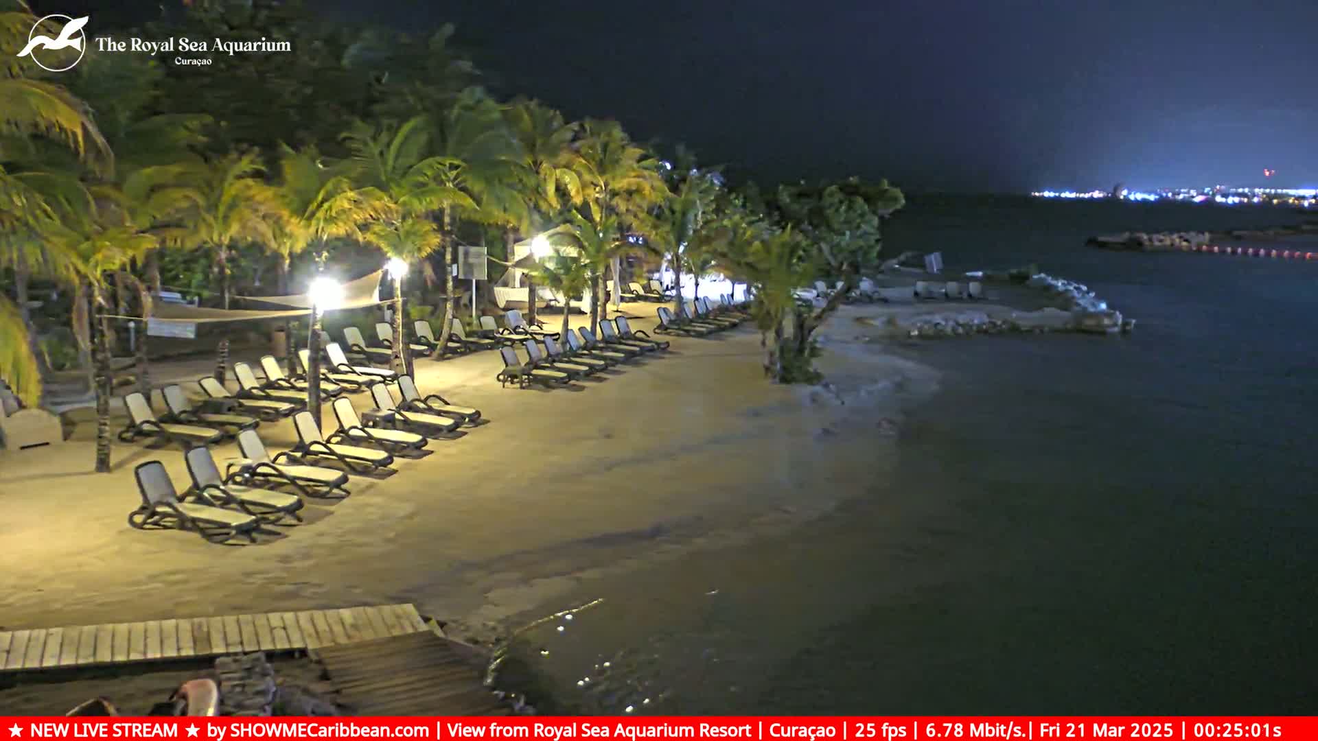 A sandy beach at night, lined with empty lounge chairs under palm trees, next to calm dark water with city lights visible in the distance.