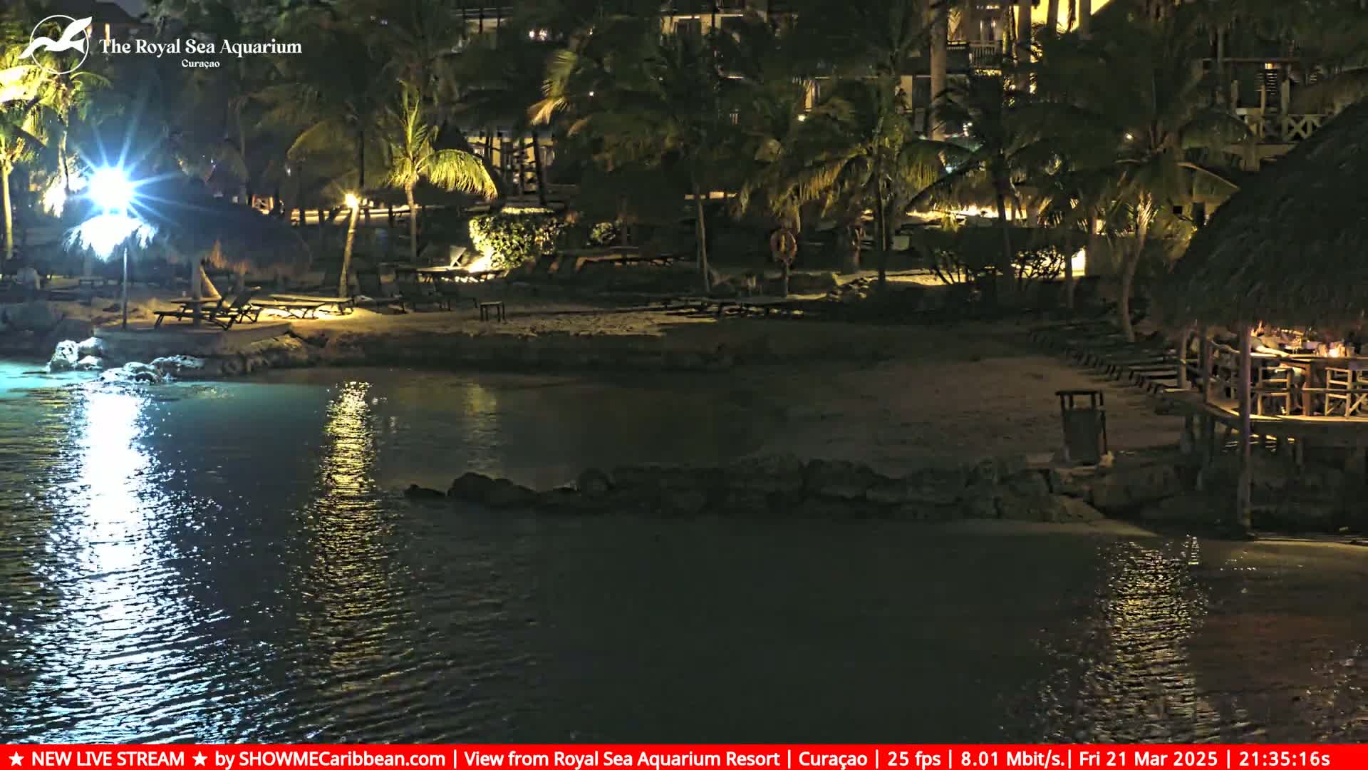 A nighttime beach scene shows a calm body of water reflecting lights from palm trees, beach furniture, and a thatched-roof structure.