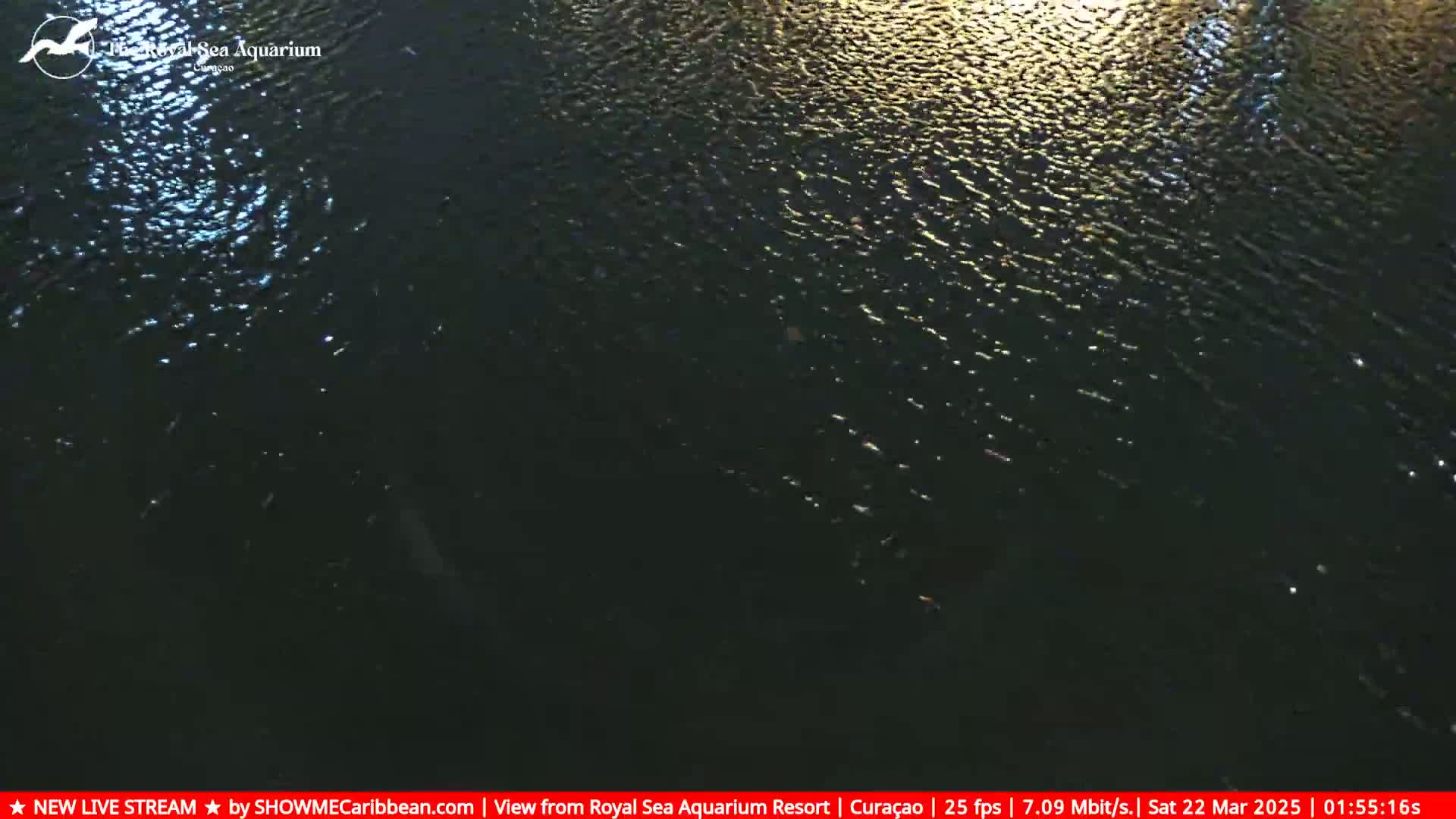 Dark water with subtle ripples reflects light from above at night.
