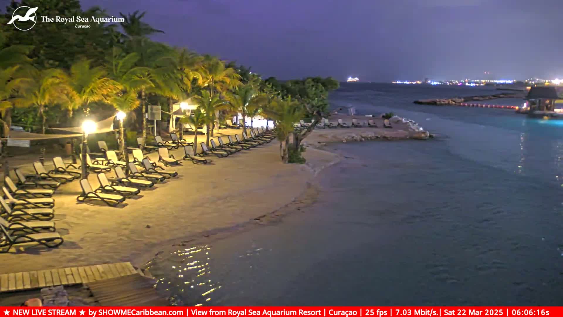 A sandy beach at night lined with empty lounge chairs, palm trees, and calm water under a dark sky.