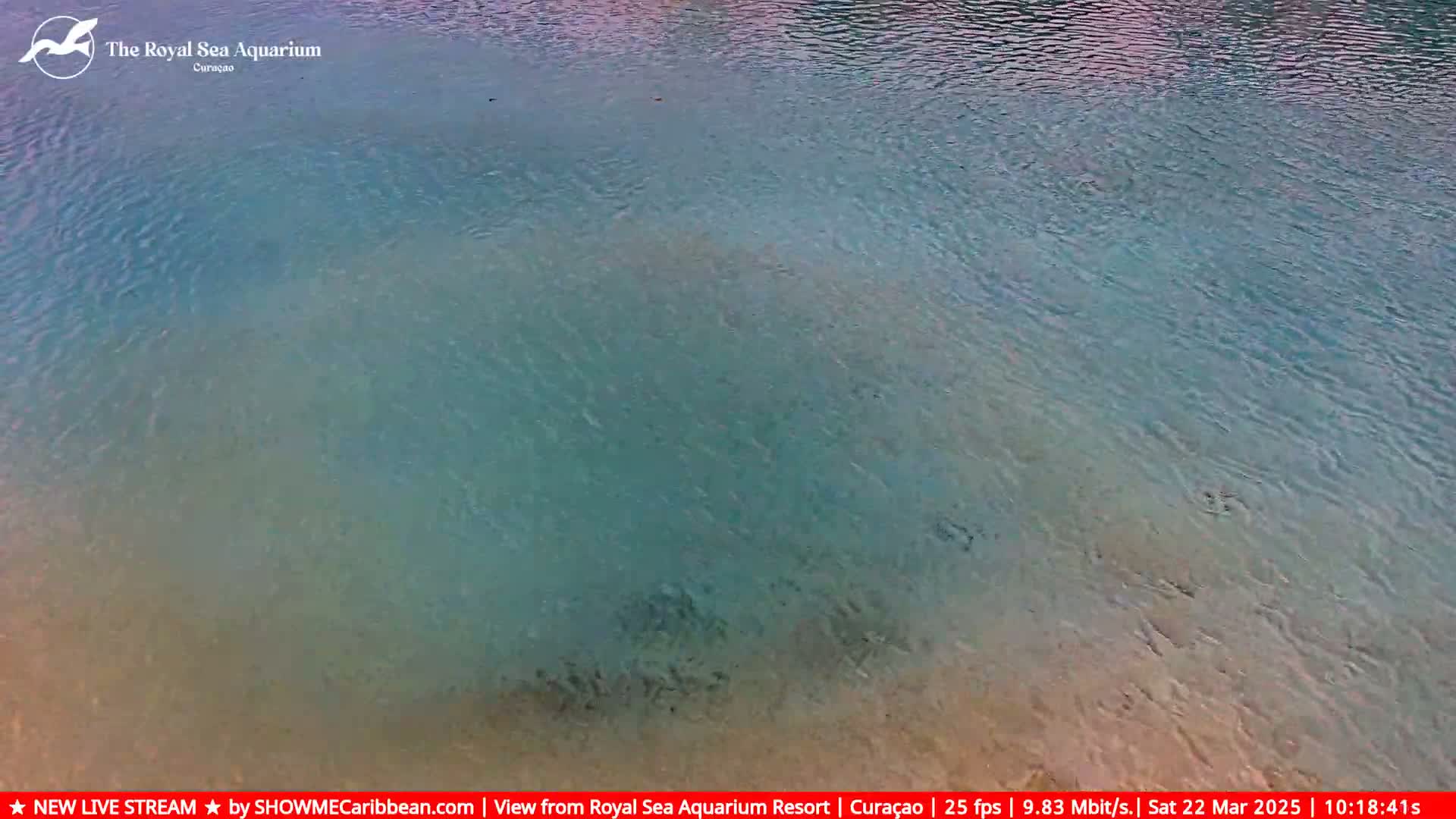 A tranquil body of shallow, teal-colored water shows subtle ripples on a sunny day.