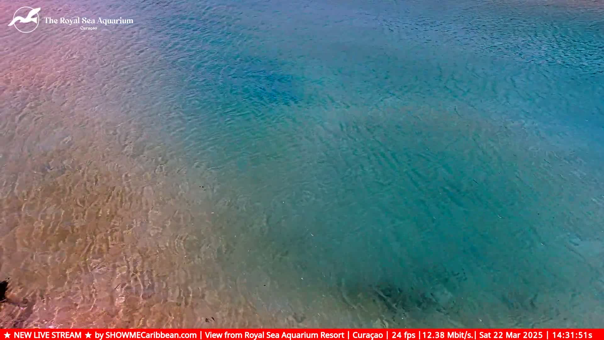 Shallow, clear water gradually deepens to a teal color.