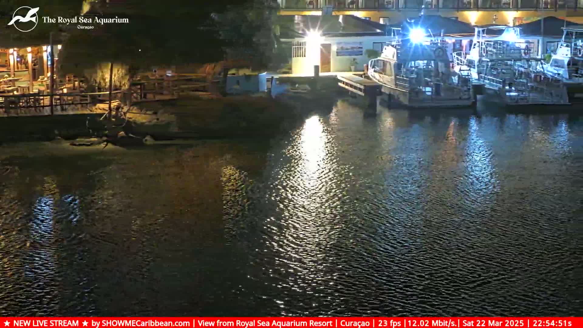 At night, several boats are docked near a lit building beside a calm body of water reflecting lights from the shore.
