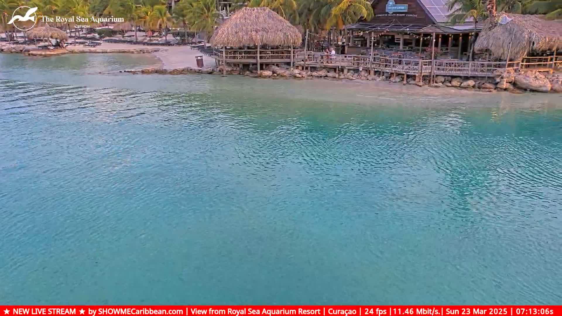 Calm, teal water laps a beach with a thatch-roofed bar and restaurant, surrounded by palm trees.