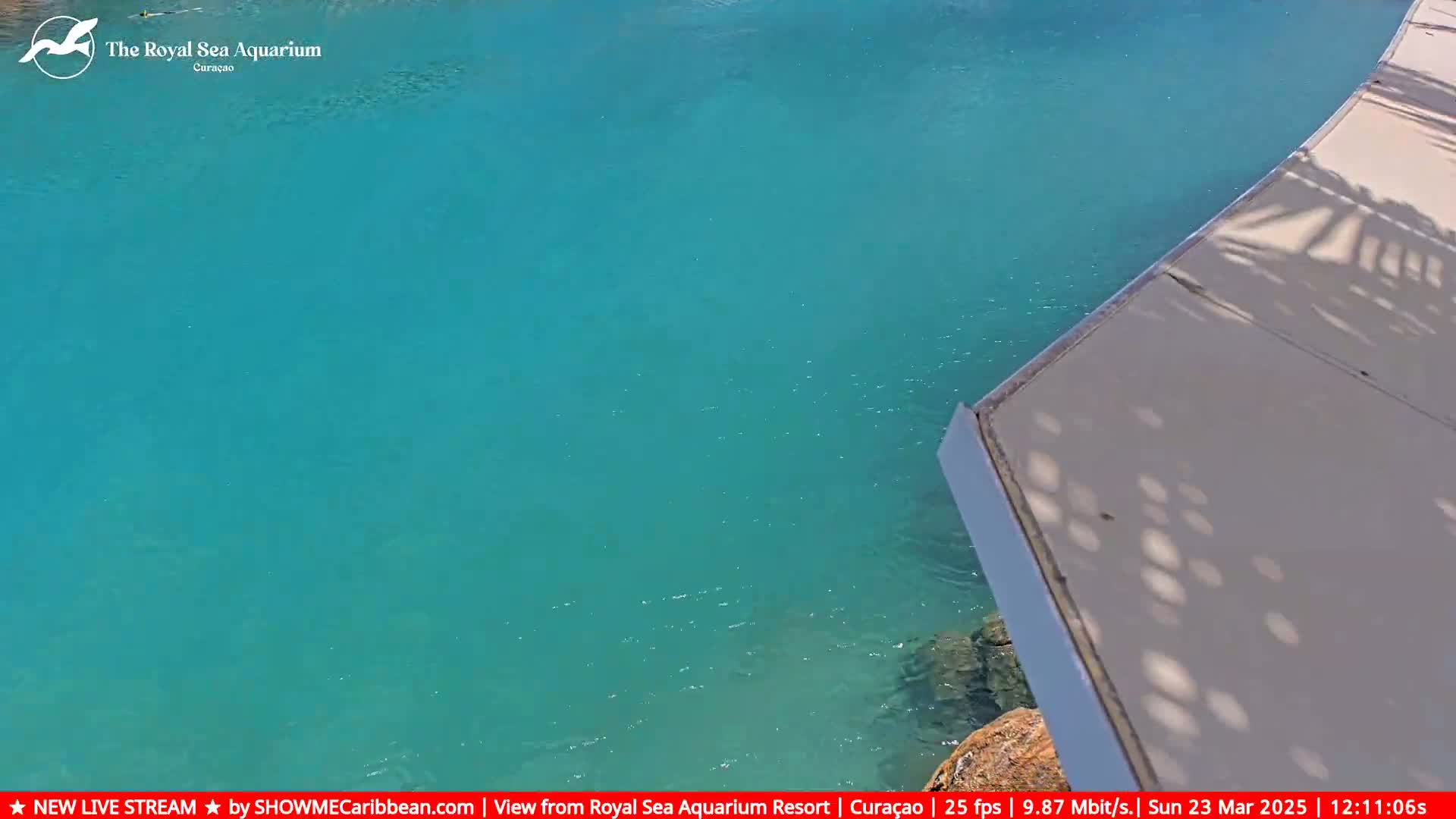 A light beige dock extends over bright teal water.