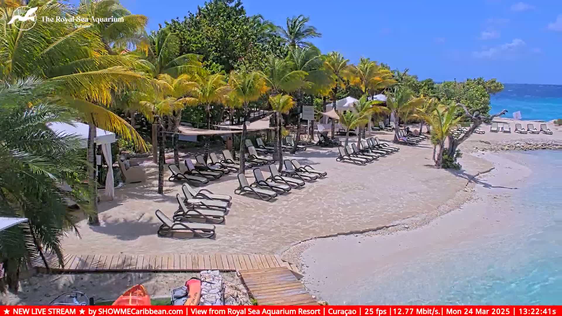 A sandy beach with lounge chairs and palm trees under a sunny sky next to clear turquoise water.