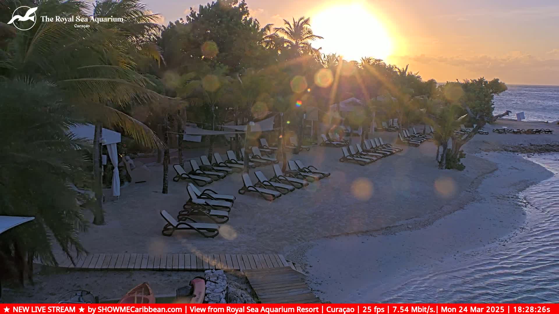 Empty lounge chairs line a sandy beach at sunset, with palm trees and calm water visible.
