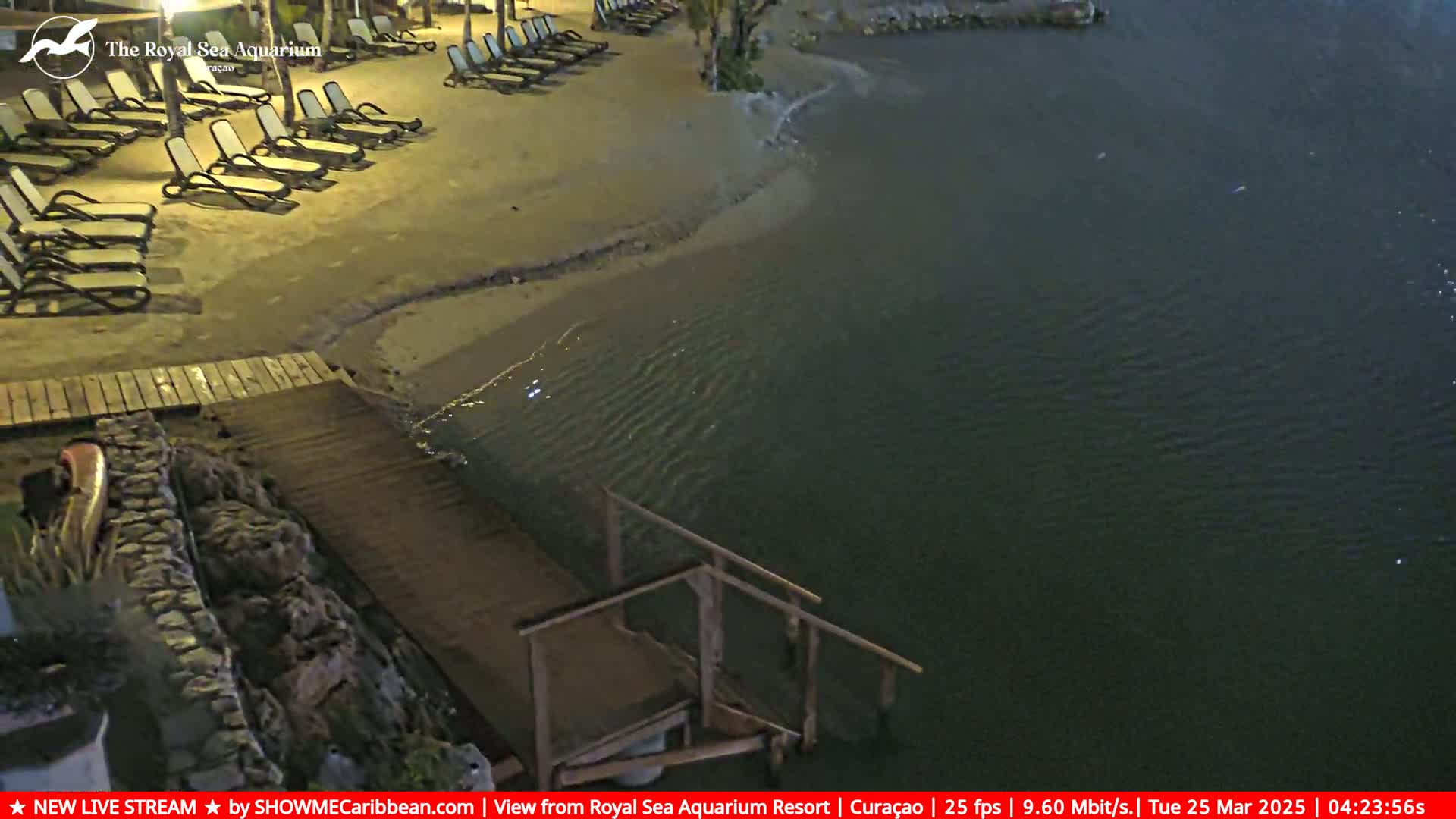 A nighttime beach scene shows empty lounge chairs on a sandy shore next to calm, dark water with a wooden staircase leading into the water.