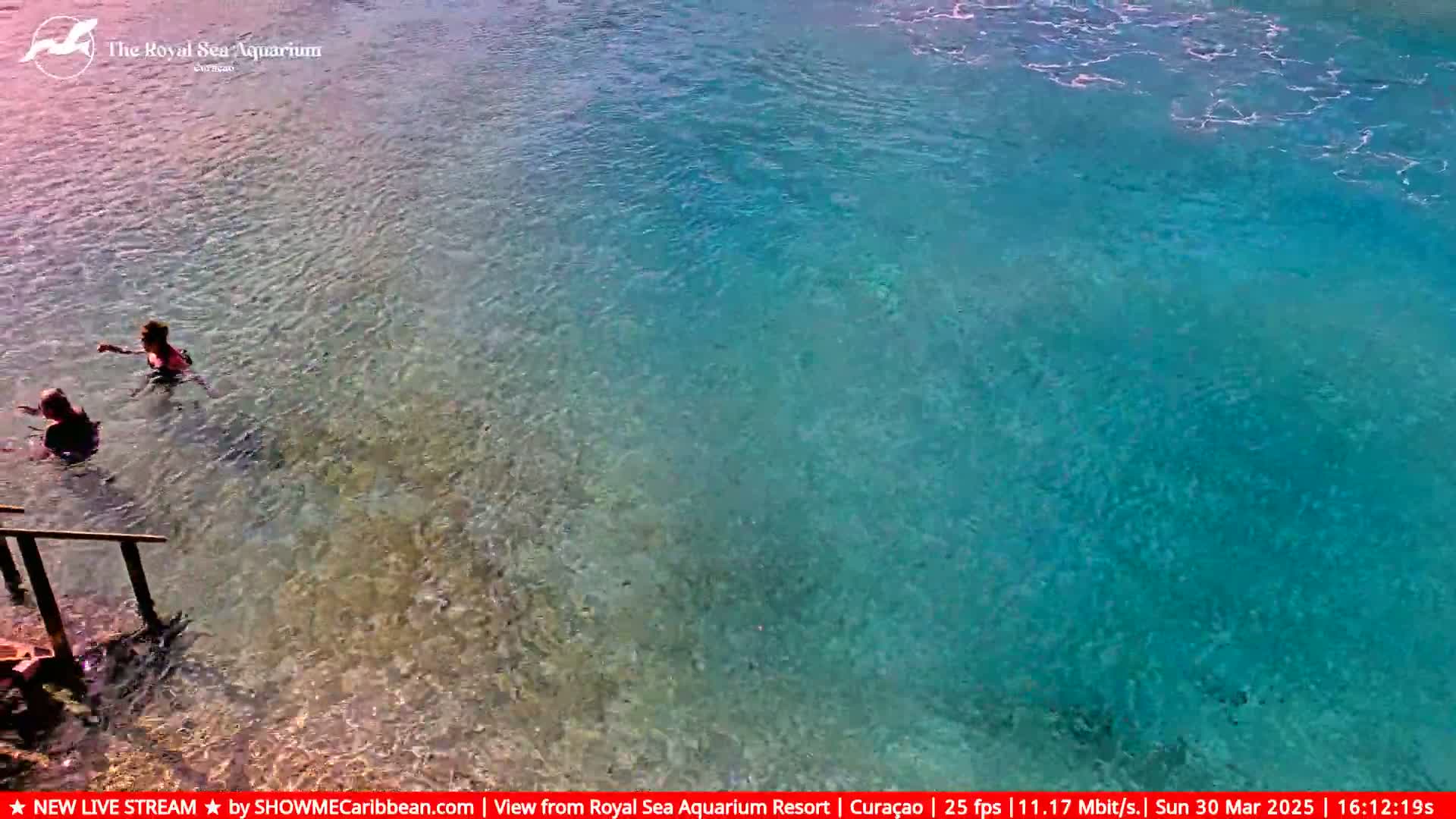 Two people are wading in clear, shallow turquoise water near a set of steps leading into the water.