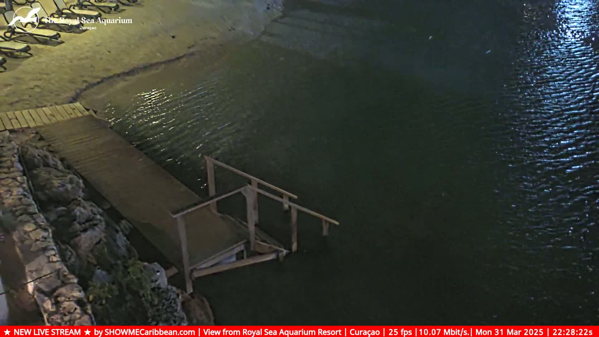 A nighttime, overhead view shows a wooden dock with a railing extending into dark, gently rippling water.