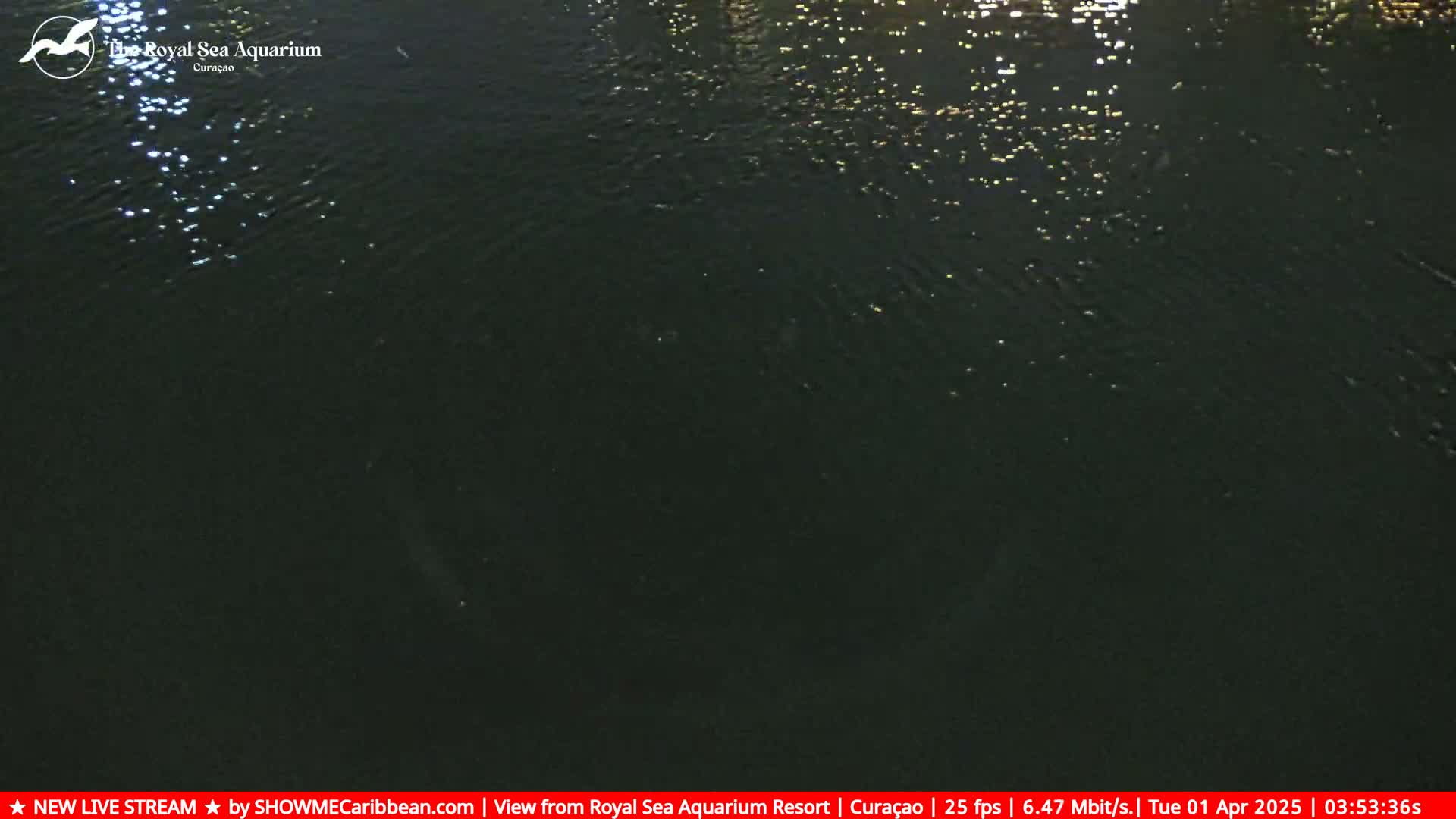 Dark water at night reflects scattered points of light.