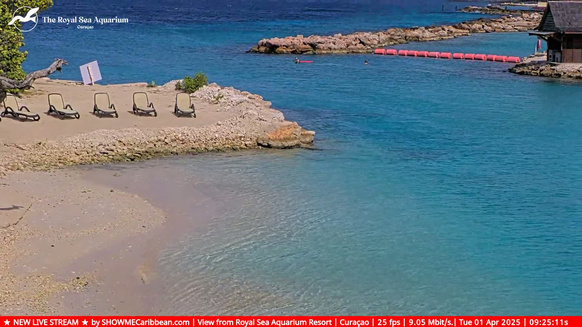 A sandy beach with lounge chairs next to clear, turquoise water, under a sunny sky.