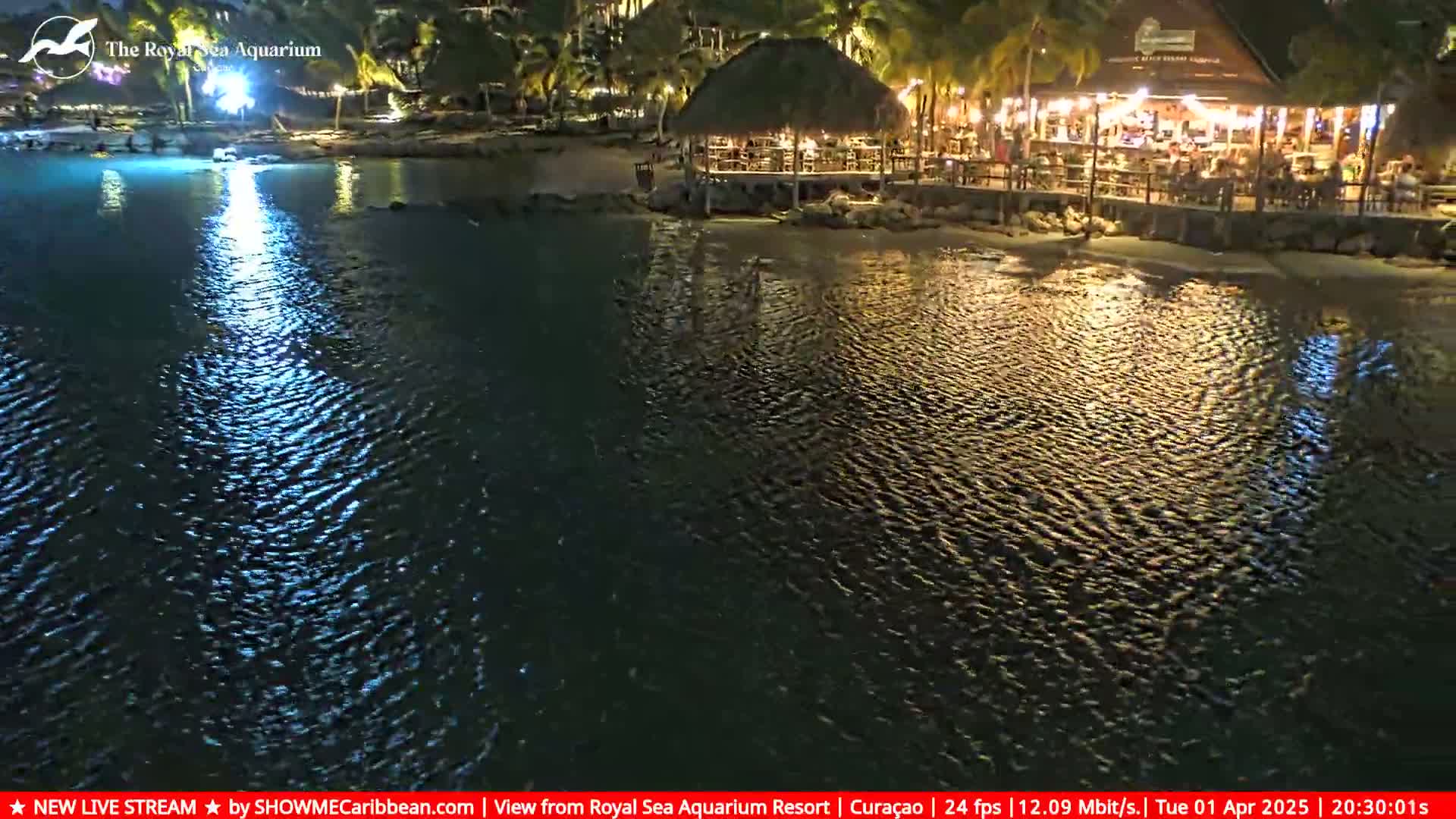 A nighttime view of a calm body of water reflecting lights from a beachfront restaurant with palm trees and a thatched-roof structure.