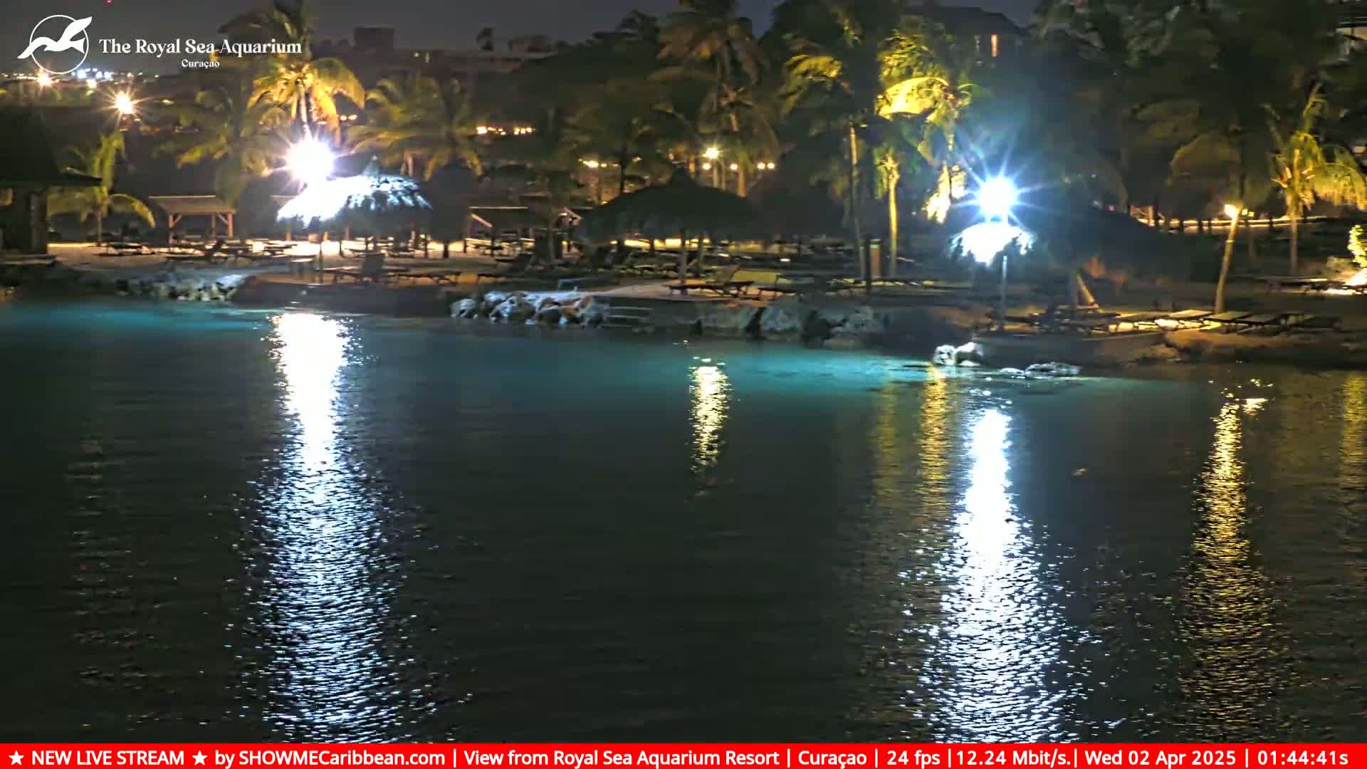 A nighttime view of a calm, illuminated body of water next to a shoreline with palm trees, outdoor seating, and thatch umbrellas.
