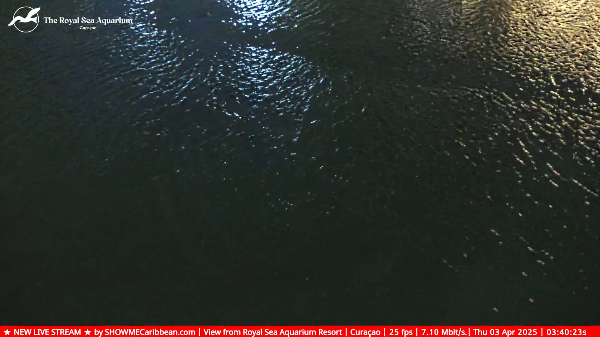 A dark body of water at night with small ripples on its surface reflecting light.