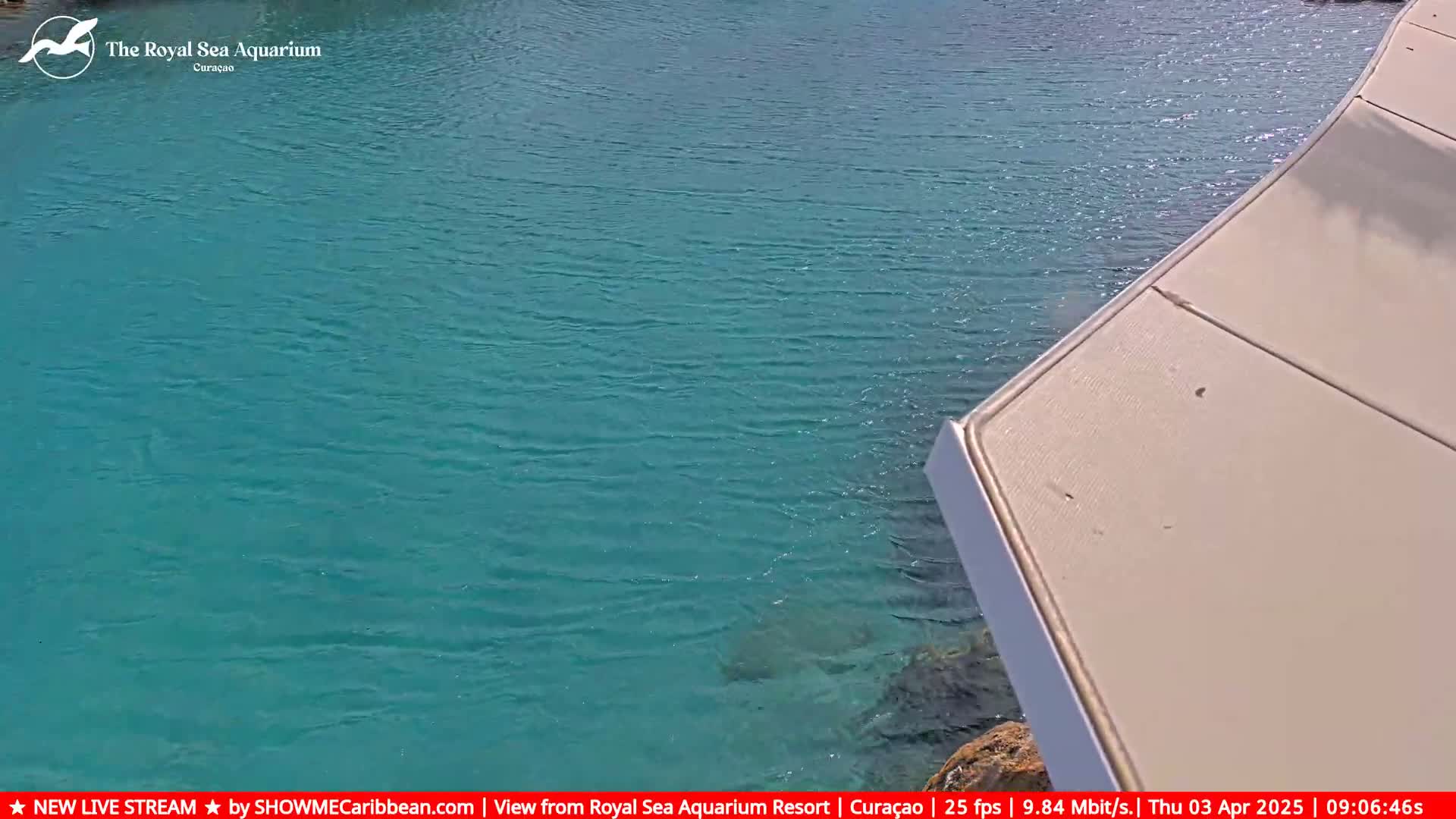 Calm, teal-colored water laps against a light beige dock.