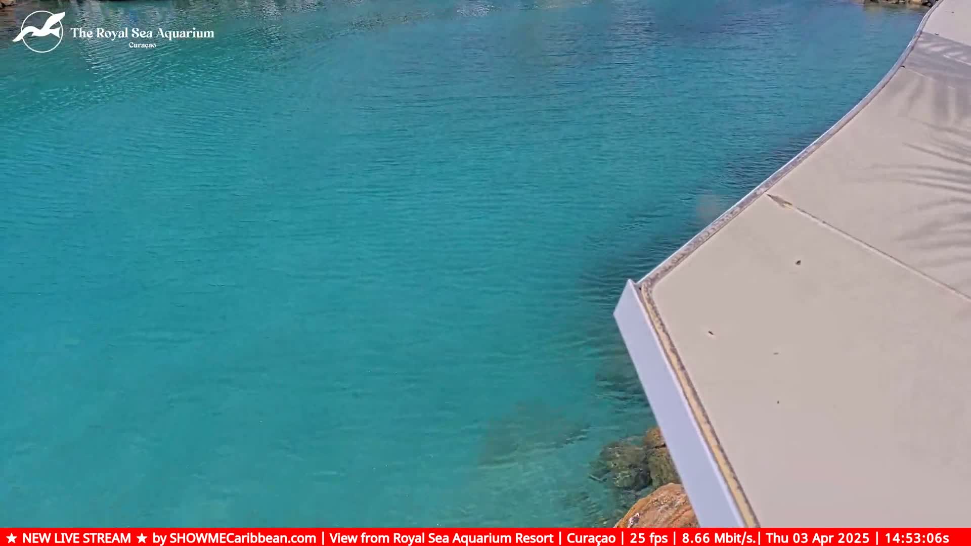 A light beige deck juts into a calm, bright teal body of water.