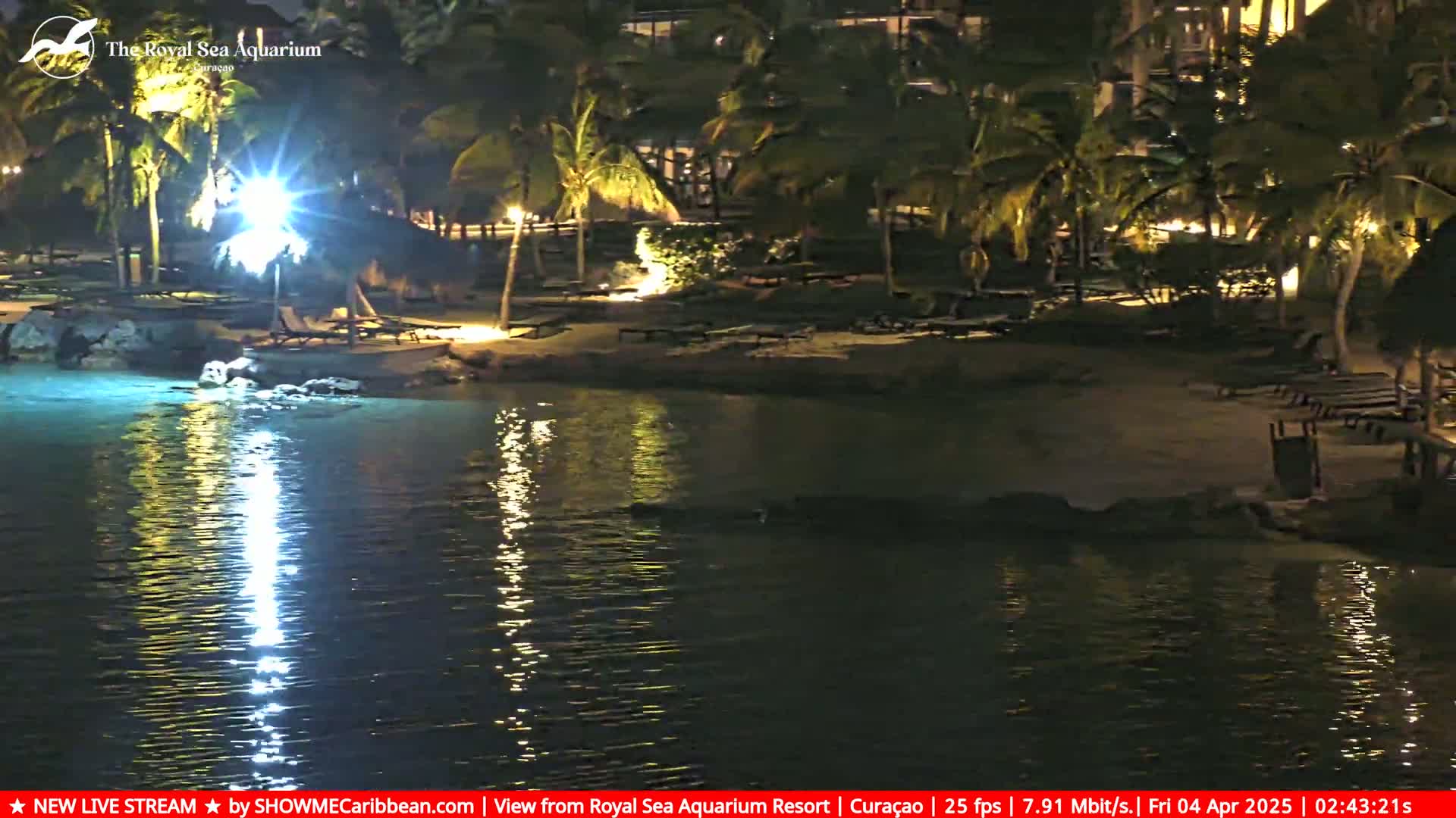 A nighttime view of a calm body of water reflecting lights near a beach with palm trees and lounge chairs.