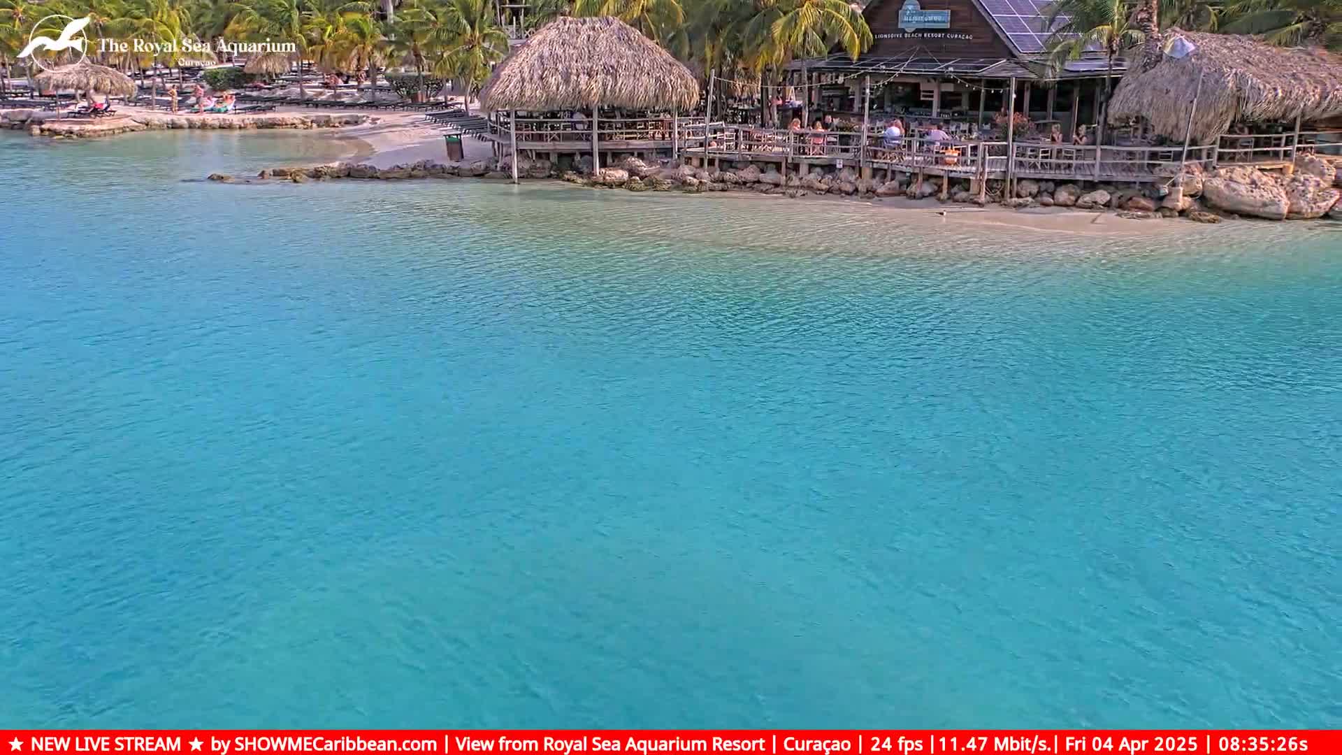 A beach bar and restaurant sits on a sandy shore next to a calm, turquoise body of water.
