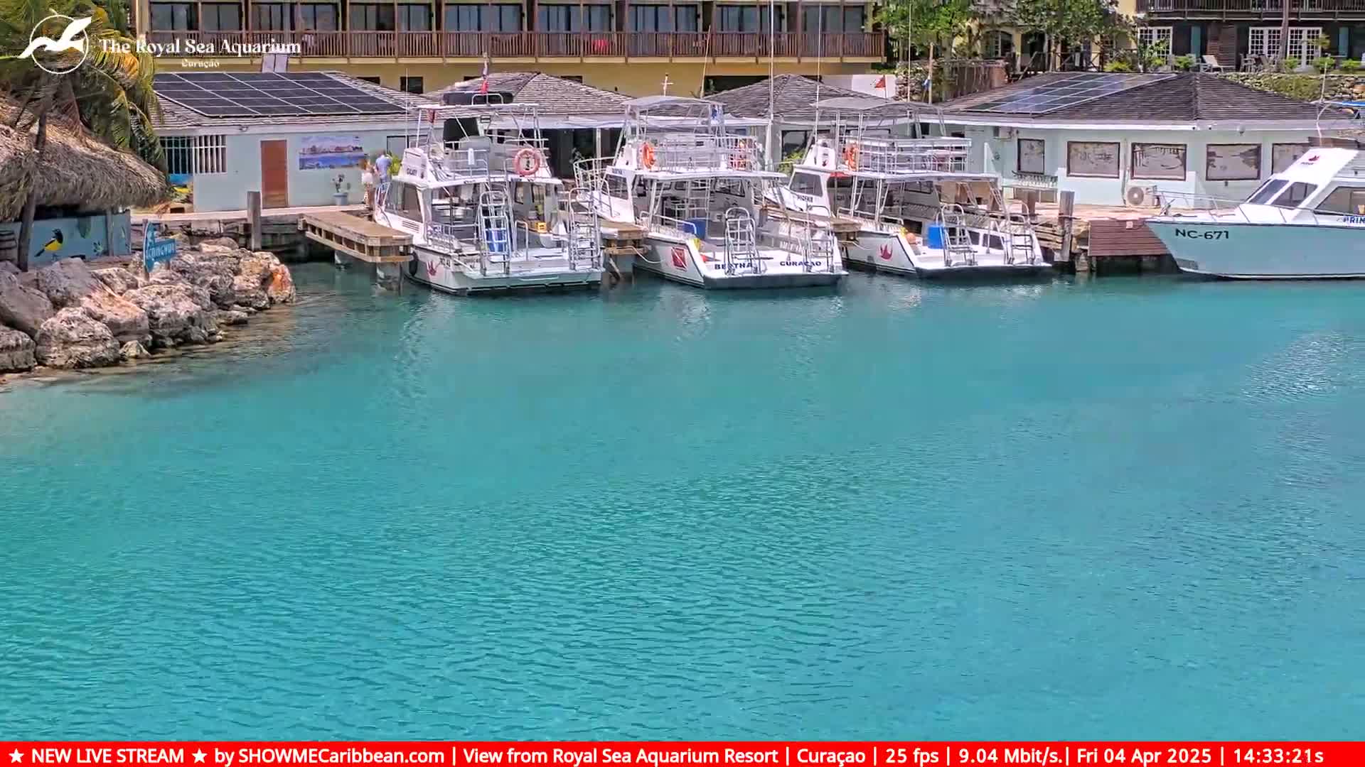 Several white boats are docked at a marina with turquoise water, next to a building and a rocky shoreline.