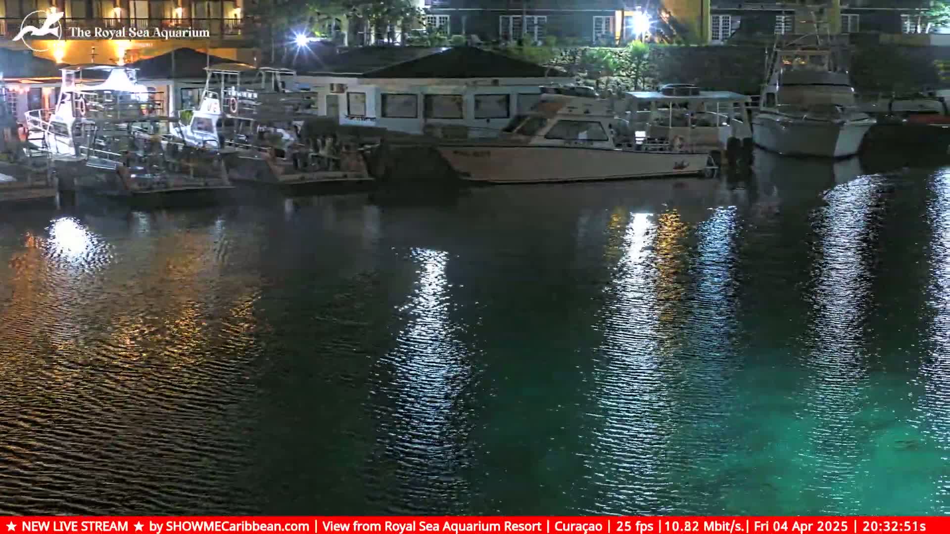 Several boats are moored at a marina at night, their reflections shimmering on the calm, dark water.