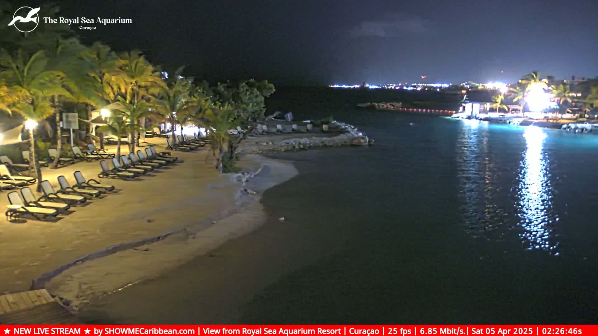 A sandy beach at night, lined with lounge chairs under palm trees, next to a calm, dark body of water reflecting lights from a nearby resort.
