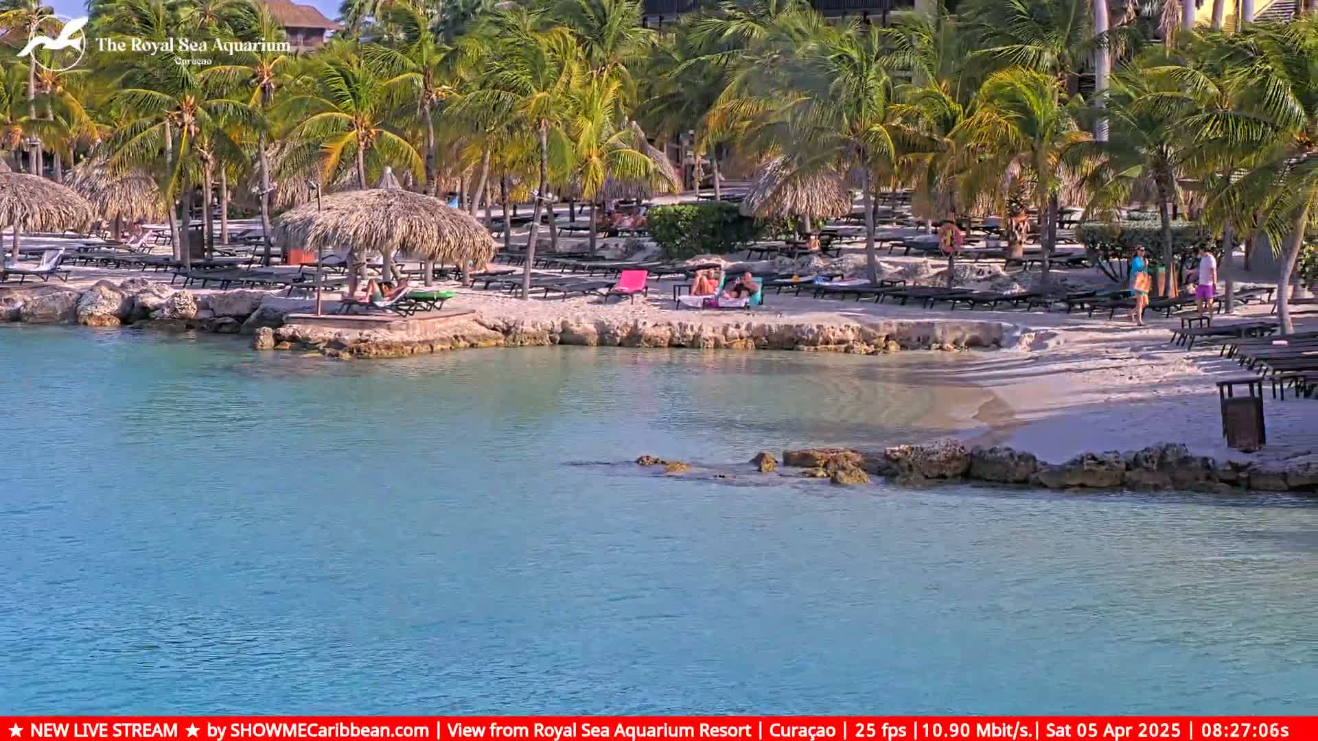 A sandy beach with palm trees, lounge chairs, and thatched umbrellas is partially surrounded by calm, turquoise water.
