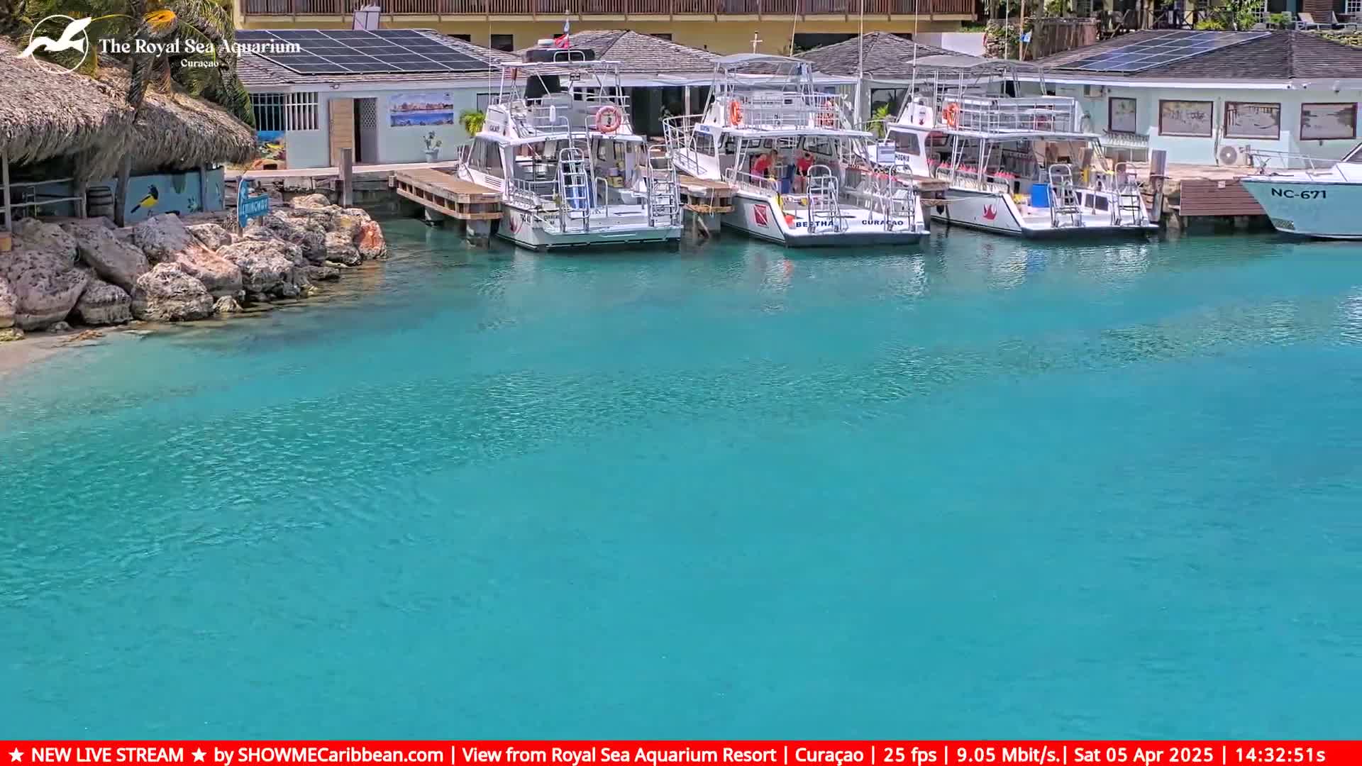 Several white boats are docked at a waterfront building next to clear, turquoise water.