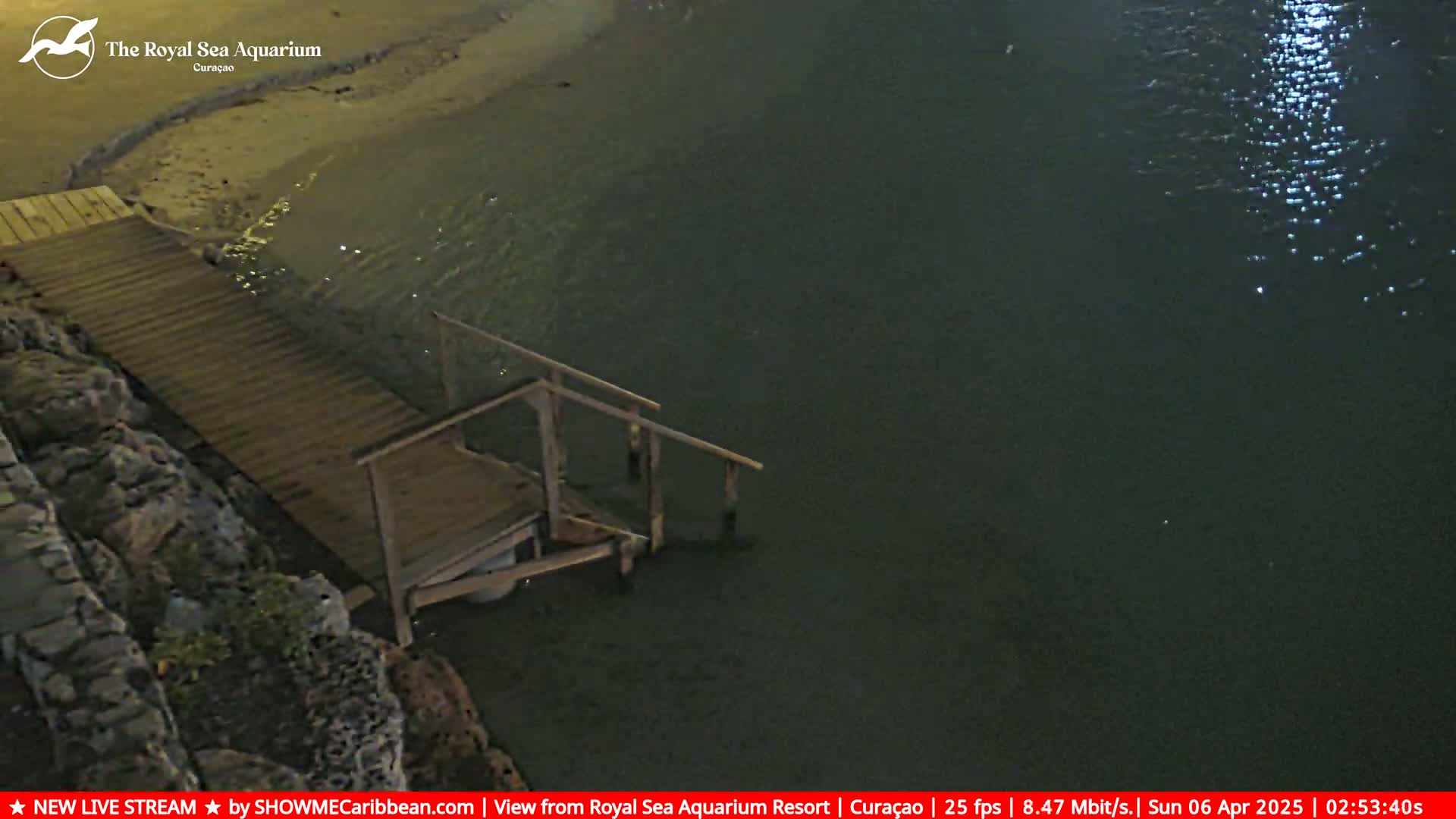 A wooden dock with stairs extends from a rocky shoreline into dark, calm water at night.