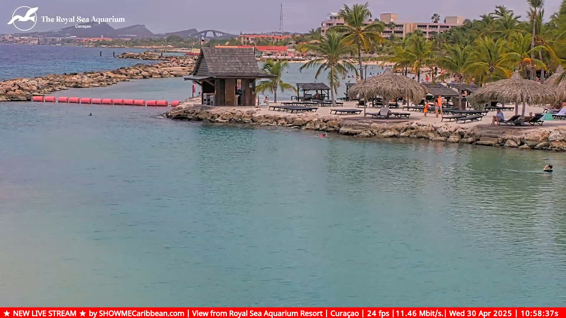 A calm, turquoise body of water laps a rocky shore with a small wooden building, beach chairs under thatched umbrellas, and palm trees in the background under an overcast sky.