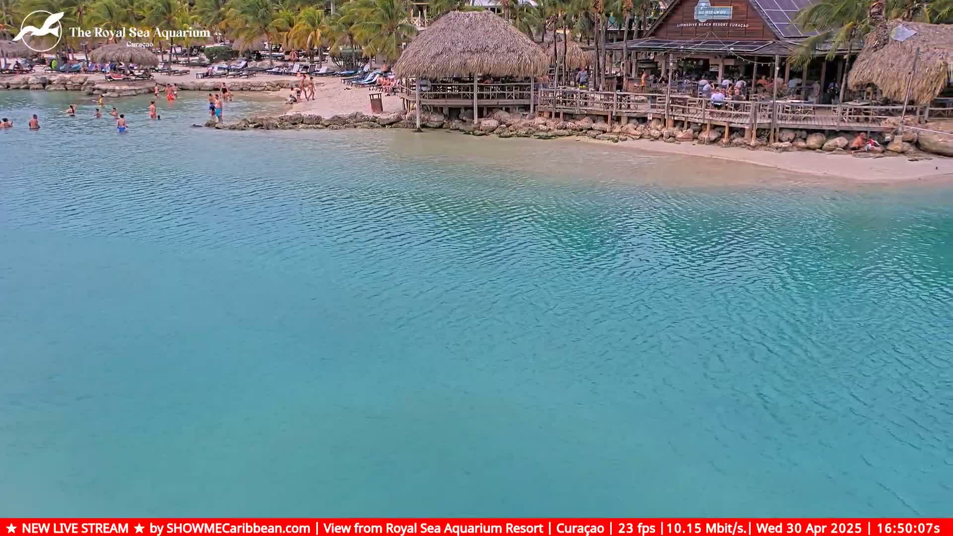 A beach with turquoise water, a beachfront bar under a thatched roof, and several people swimming and relaxing on the sand.